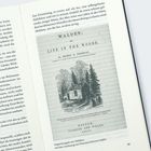 "Walden; or, Life in the Woods. By Henry D. Thoreau." 
Illustration einer Hütte in einem Wald. Seite 99.