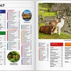 INHALT: Reiseplanung, Reiseziele, Praktisches, Storybook. Bild: Zwei Lamas vor antiken Steinruinen in Machu Picchu.