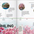 Tokyo im Frühling. Sakura in der zweiten Märzhälfte. Golde Woche vermeiden. Hanami-Partys in Parks. Packtipps: Jacke März/April.