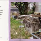 „Zwischen luxuriösen Modeboutiquen...“ Schwarze Katze neben roten Blumen auf einem Friedhof, grüner Zaun im Hintergrund.