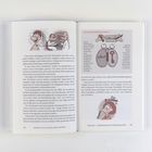 "Die beiden Hemisphären des Gehirns" zeigt eine Illustration mit zwei Hälften, die mit "Schlüssel" beschriftet sind. Links: logisch, sprachlich, ... Rechts: figurativ, symbolisch, ... Unten: Eine Karikatur eines Denkers mit "L" und "R".