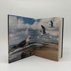 Ein aufgeschlagenes Buch mit einer Illustration von Möwen an einem Strand unter einem bewölkten Himmel.
