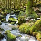 Text: "SCHWARZWALD". Ein plätschernder Bach fließt durch einen moosbedeckten, grünen Wald mit Bäumen und Felsen.