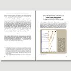 "3. Vom Weiblichkeitskult der Frühzeit zu den ersten Nabelsteinen im jungsteinzeitlichen Südost-Europa" auf Seite 41. Diagramm zeigt Stammbaum des Menschen.