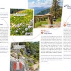 "KM 2,1 Lacheralm Ein Bergblumenmeer, Die Herzblättrige Kugelblume macht die Wiesen der Lacheralm bunt." Bilder von Berglandschaften.