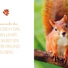 Text: „Ich wünsche dir, dass dich das Leben lehrt, dir selbst ein guter Freund zu sein.“ Illustration: Ein Eichhörnchen auf einem Ast.