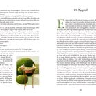 Text: "19. Kapitel", Seitenrand: "89."
Illustration: Zwei weiße Tauben auf einem Vogelbad, umgeben von grünen Hecken.