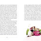 Seite 32. Ein kleines Hündchen sitzt vor bunten Kissen und einem Geschenk mit einer rosa Schleife. Kleine Sterne umgeben die Szene.