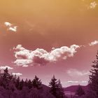 Wolken am Himmel über Bäumen, mit einem Farbverlauf von Orange zu Lila.