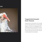 "Negativität" und "Negativität braucht kein Mensch" neben einem Vogel mit rotem Schnabel und grauem Gefieder.