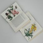 Zwei offene Bücher, eines zeigt Rosen, das andere gelbe Blumen mit den Texten "Rosen in der Kunst" und "Grünkraut".