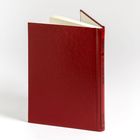 Text auf dem roten Buchrücken: "Joseph Sheridan Le Fanu, Carmilla". Das Buch steht leicht geöffnet.