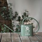 Text: "HALLO Frühling" auf einer grünen Gießkanne mit Pflanzenmotiv; Hintergrund mit Pflanzen und Holz.