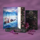 "CHRISTINA RAIN MAGIC DROWNED IN BLOOD". Ein Buch mit Rosenmuster, lila Rosenblätter und eine Illustration mit winterlicher Szenerie.