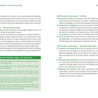 Seitenzahlen oben; links 10, rechts 11. Titel: "Die perfekte Vorbereitung für dein Abenteuer in den bayerischen Bergen". Kannten und Absätze; Themen umfassen Wanderungen mit Senioren und Kindern, mit Vorteilen und Herausforderungen. Grün hervorgehobene Tipps für Senioren: kürzere Strecken, regelmäßige Pausen, einfache Routen, Sonnen- und Wetterschutz.