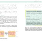 Seite 24: Grundlagen. Seite 25: Die allmähliche Veränderung des Gesichts. Boxtext: DER NUTZEN VON KOLLAGEN-SUPPLEMENTEN. Diagramm zeigt Hautalterung. 