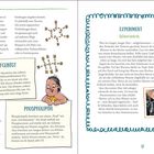 „Wie alles begann“, „Experiment“, „Kohlenstoffgerüst“, „Phospholipide“. Illustrationen von Urmenschen und chemischen Strukturen.