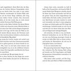 Seite 12 rechts: „Was, wenn ich den falschen Weg nehme?“ Seite 13 oben: „Sintou hatte recht,“murmelte sie.