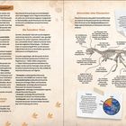 **Linke Seite:**
Titel: "Was ist ein Dinosaurier?"
Text erklärt, dass nicht alle ausgestorbenen Reptilien Dinosaurier sind.

**Rechte Seite:**
Titel: "Kennzeichen eines Dinosauriers"
Diagramm mit Skelett und Beschreibungen von Dinosauriermerkmalen. Zusätzlicher "Funfact" über Dinosaurier.