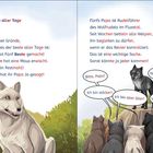 Text: "Der beste aller Tage." Illustration mit Wölfen im Wald, einige betteln einen älteren Wolf an.