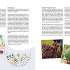 Quadratbeete, Mandalagärten, Hochbeete. Grafiken unten zeigen Gemüse in Beeten und Kreismuster. Fotos rechts: Füße, Pflanzen.