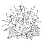 Eine Illustration eines Salamanders auf einem Stein, umgeben von Blättern und großen Blüten.