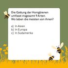 Text über Bienenarten und deren Verbreitung; Optionen a) Asien, b) Europa, c) Südamerika; Illustration mit Bienen.