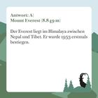Antwort: A) Mount Everest (8.849 m). Der Everest liegt im Himalaya zwischen Nepal und Tibet. Er wurde 1953 erstmals bestiegen. Illustration mit Berglandschaft und einem Steinbock.