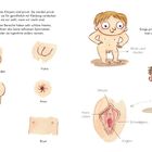 Text: "Einige Teile deines Körpers sind privat...", "Penis und Hoden", "Vulva", "Po", "Anus", "Brustwarze", "Brust". Die Illustration zeigt kindliche Figuren und menschliche Körperteile.