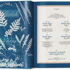Links steht "British Ferns"; rechts ist ein Inhaltsverzeichnis. Fotografien von Farnen auf blauem Hintergrund.