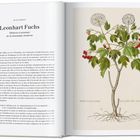 Links: "Leonhart Fuchs, Médecin et pionnier de la botanique moderne". Rechts: Illustration einer Pflanze mit roten Beeren.