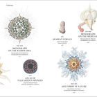In der Mitte: "MONOGRAPH ON THE RADIOLARIA," bunte Illustrationen von Meeresorganismen, z.B. Korallen, Medusen.
