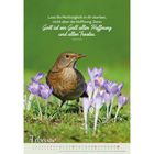 Zitat von Ruth Heil über Hoffnung. Ein Vogel sitzt auf grünem Gras, umgeben von violetten Krokussen. Unten steht "Februar".