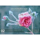 „EUER HERZ ERSCHRECKE NICHT! Glaubt an Gott und glaubt an mich!“ Johannes 14,1. Rose mit Frost bedeckt; Februar-Kalender.