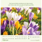 Text: "Die Sonne blickt strahlend auf alles herab, vom Glanz des Herrn ist die Schöpfung erfüllt. Sirach 42,16"

Kalender für Februar. Frühlinghafte Krokusse in Weiß, Lila und Gelb.