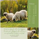 Februar-Kalender mit Schafen auf grünem Hintergrund. Zitat von Eva von Tiele-Winckler über Segen und freundliche Gedanken.