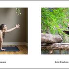 Links: "Dandayamana Bharmanasana", Frau in Yoga-Pose auf Matte. Rechts: "Roter Panda in der balancierenden Tischhaltung".