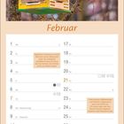 Februar; Text: Tipps zur Blumenpflege im Februar, Unterschiede von Amaryllis und Ritterstern, Pflanzlöcher im Boden.