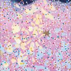 Kalendermonat: Februar. Illustration: Bunte Katze vor einem Hintergrund mit Sonne, Mond und Sternen.