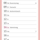 Kalender mit Februar-Daten. Ein Foto einer liegenden, entspannten getigerten Katze ist oben abgebildet.