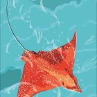 02, 01–28 umrandet. Illustration eines roten Rochens mit weißen Punkten in klarem Wasser.