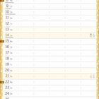 Kalenderblatt für Februar, mit Wochentagen, Platz für Namen und Notizen, sowie Markierungen für Rosenmontag und Valentinstag.