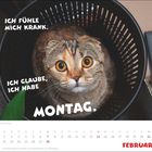 "Ich fühle mich krank. Ich glaube, ich habe Montag." Ein Kalenderbild mit einer Katze in einem Korb.