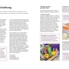 Deine neue Ernährung – 8 Zutaten für einen gesunden Teller. Gut für dich: reichlich Blattgemüse, Vollkorngetreide.