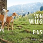 Text: "Von der Wildsicht zur Einsicht. Grundlagen für den Freilauf." Zwei Hunde stehen aufmerksam vor einem großen Baum.