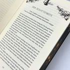 "DER SCHATTENBOTE" und "Deine Dummheiten versteckst du im Schatten." Text auf Seite 69, verziert mit Schachfigur und Rosen.