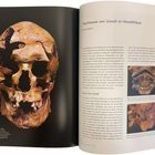 "Nachweise von Gewalt im Mesolithikum." Links ein beschädigter Schädel, rechts Textabsätze und zwei kleine Knochenbilder.