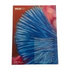 Logo "Max Ernst Museum Brühl des LVR" oben links. Darunter ein abstraktes Gemälde mit blauen und roten Farben.