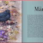 "März". Die Illustration zeigt eine Amsel mit schwarzem Gefieder und gelbem Schnabel auf braunem Boden, umgeben von lila Blumen.