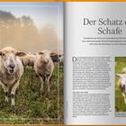 „Der Schatz der Schafe“ Text über die Bedeutung von Schafwolle. Links Schafherde auf einer Wiese, rechts Deckenfoto.